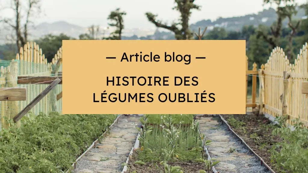 Histoire des légumes oubliés ou insolites