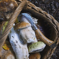 Coffret couteau champignons inox et brosse + étui - Opinel Opinel Hersée Paris 9