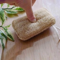 Éponge naturelle en luffa biodégradable - Ocean Respect Oceanrespect Hersée Paris 9