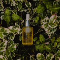 Huile visage nourrissante à la prune bio française 30 ml - Oden Oden Hersée Paris 9